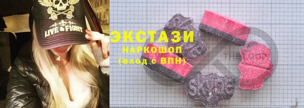 гашик Алексин