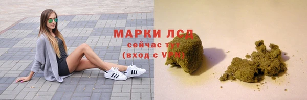 spice Алзамай