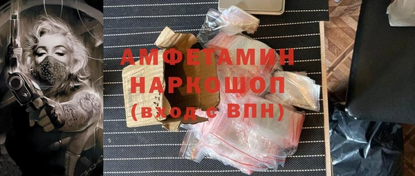 гашик Алексин