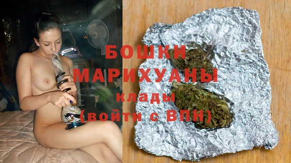 гашик Алексин